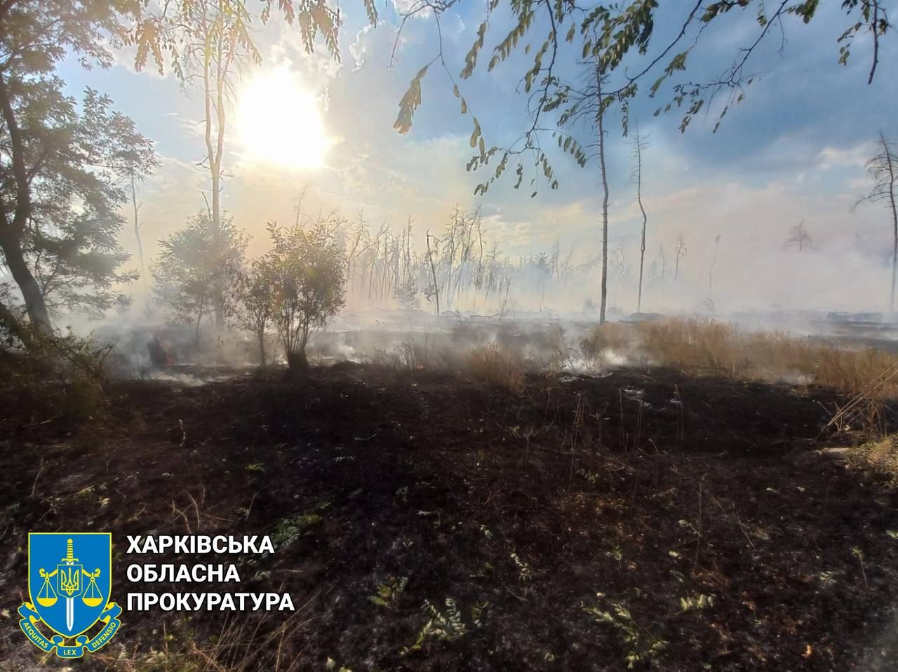 Росіяни вдарили КАБами по Харкову: серед поранених – четверо рятувальників 2