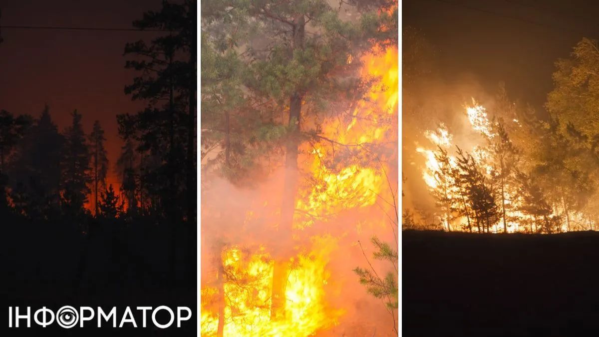 Пожежі охопили Україну Пожежі охопили Україну