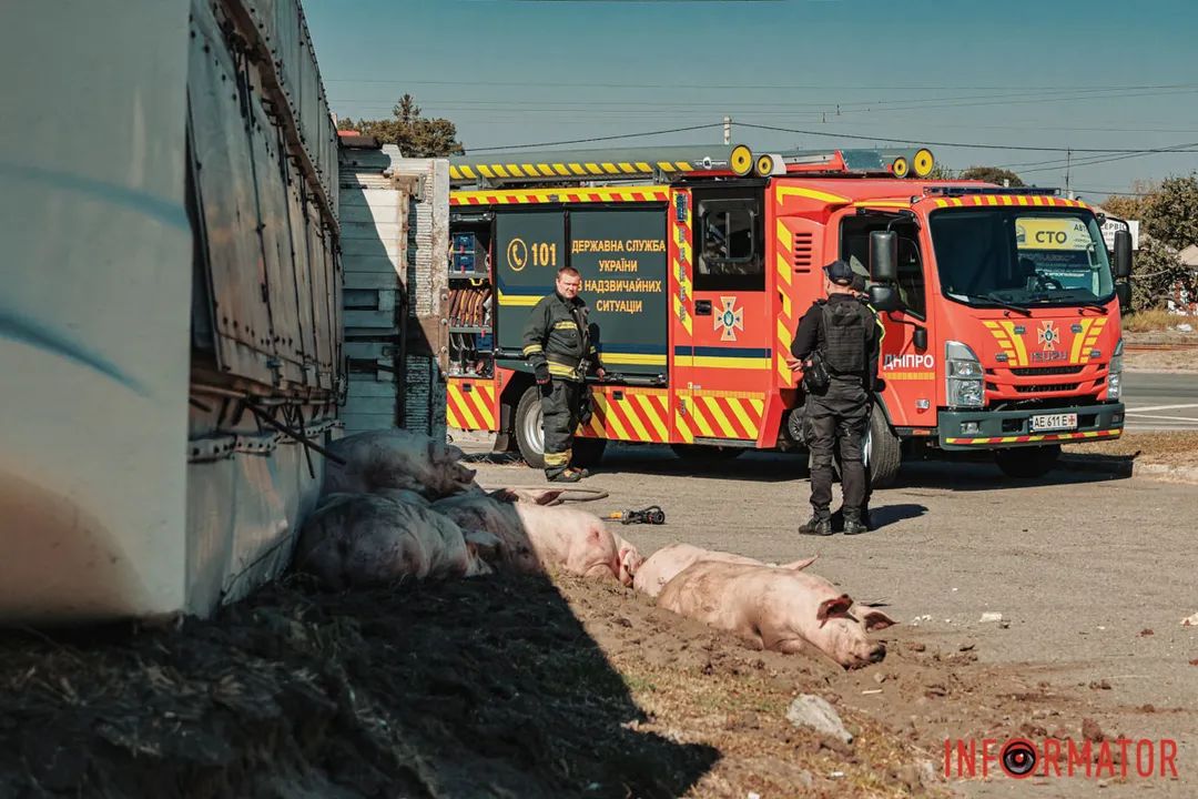 ДТП в Днепре ДТП в Днепре