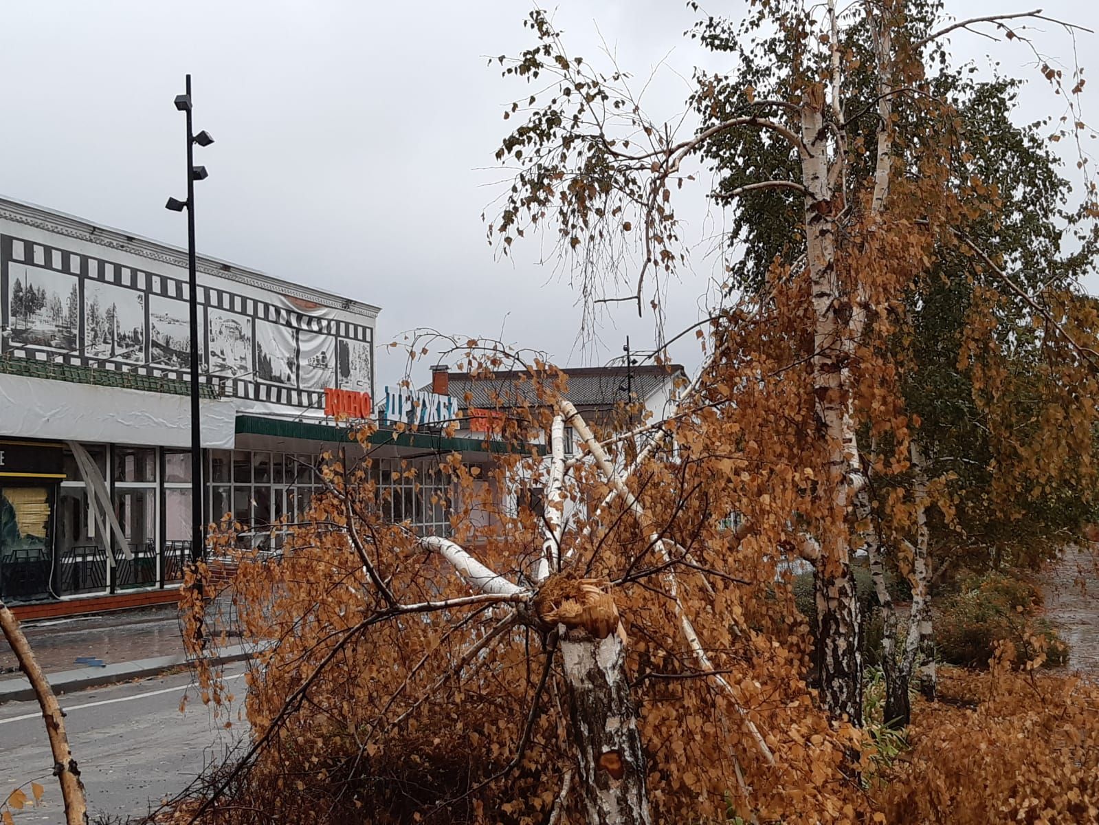 Суджа Суджа