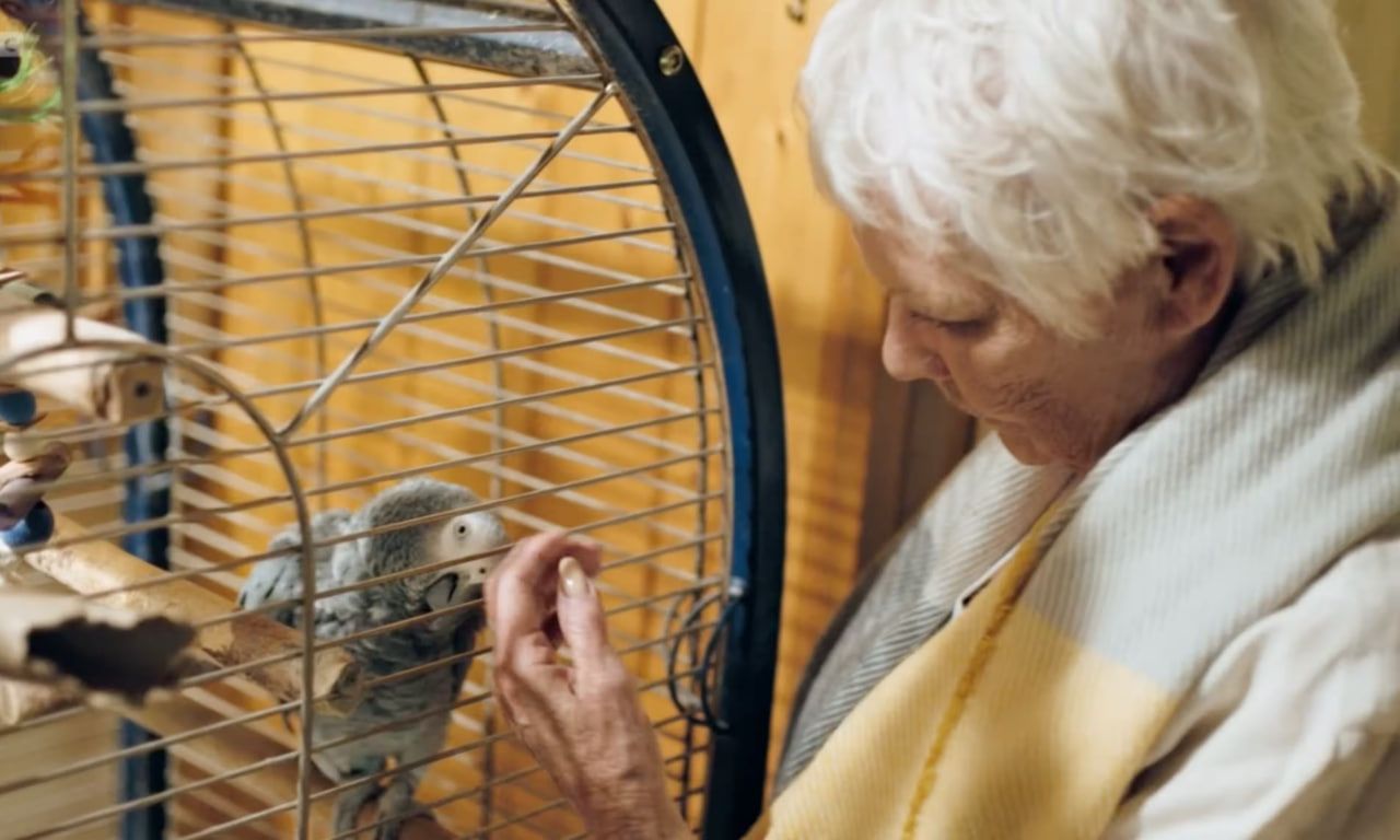 Джуді Денч зі своїм папугою Світі