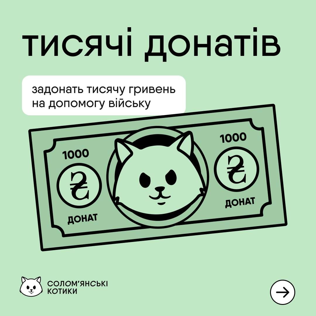 Солом'янські котики Солом'янські котики