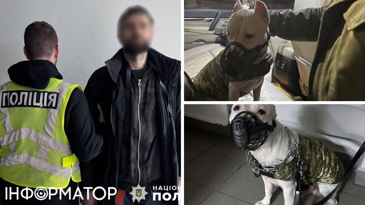 Полиция задержала подозреваемого в избиении собаки и изъяла животное