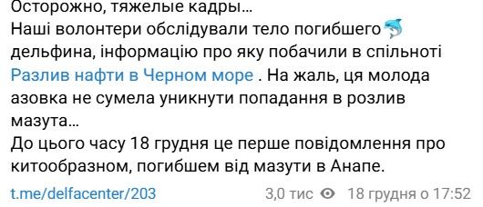 Крах танкерів у Керченській протоці викликав екологічну катастрофу — вже виловлюють мертвих дельфінів 1