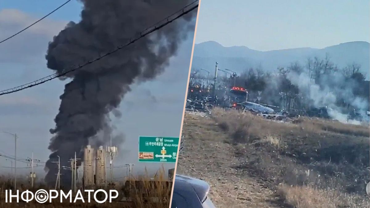 У Південній Кореї розбився літак зі 181 людиною на борту: загинули десятки осіб 1