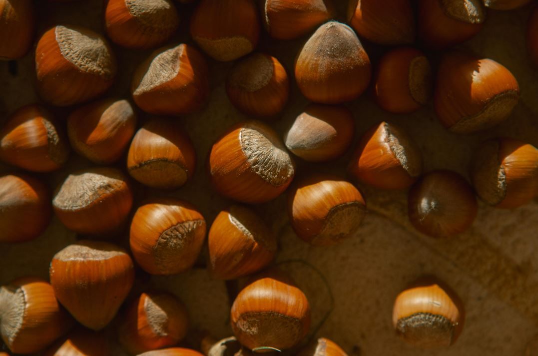 4 січня проводиться День фундука. 