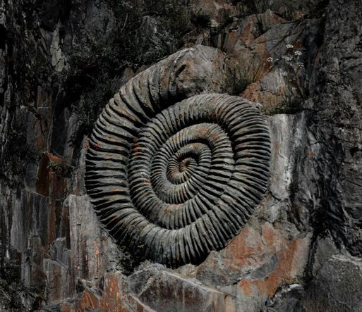 Яке сьогодні, 7 січня, свято: Всесвітній день поштової марки та Фестиваль семи трав в Японії 4