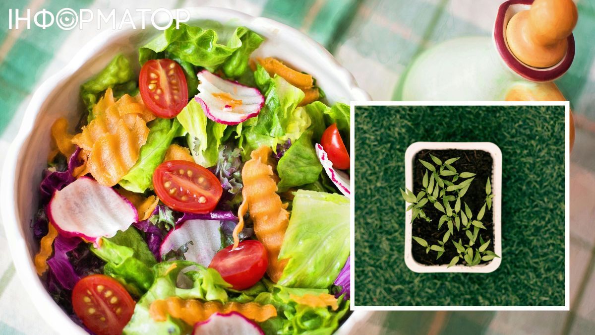 Дієта – це план харчування на все ваше життя Дієта – це план харчування на все ваше життя