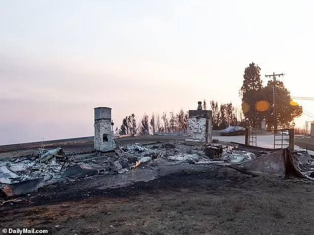 Все, что осталось от роскошного жилья сына Байдена. Фото: DailyMail Все, что осталось от роскошного жилья сына Байдена. Фото: DailyMail