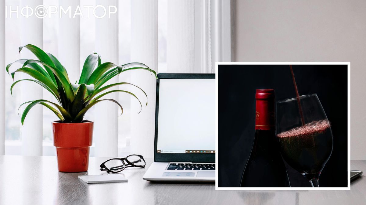 Робыть перерви у вживанны алкоголю та в роботы за ноутбуком.