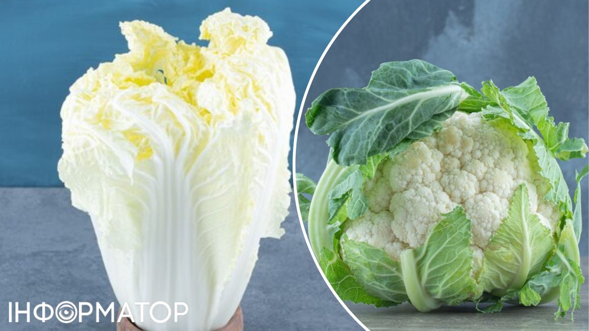 Цей овоч наповнений типом антиоксидантів, які називаються флавонолами.  Цей овоч наповнений типом антиоксидантів, які називаються флавонолами.