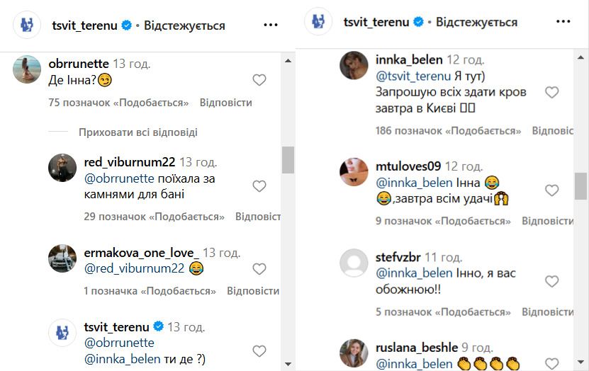 Инна Белень не стала отмалчиваться в комментариях Инна Белень не стала отмалчиваться в комментариях