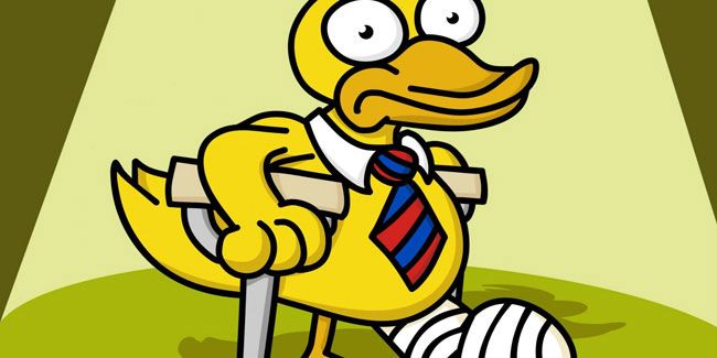 День хромой утки отмечают 6 февраля.