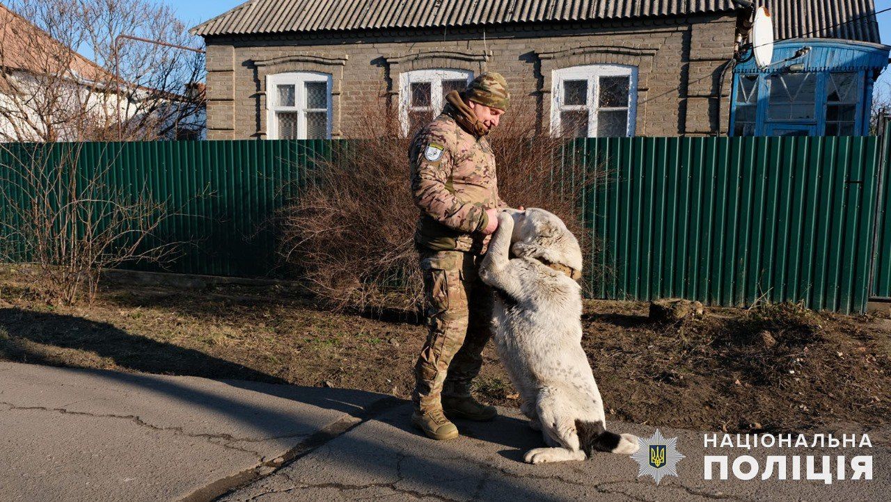 Лось такого добряка-великана спасли из-под обстрелов в Покровске