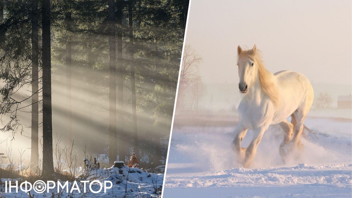 Погода, прогноз погоды, погода в Украине, Укргидрометцентр, синоптики, Наталка Диденко