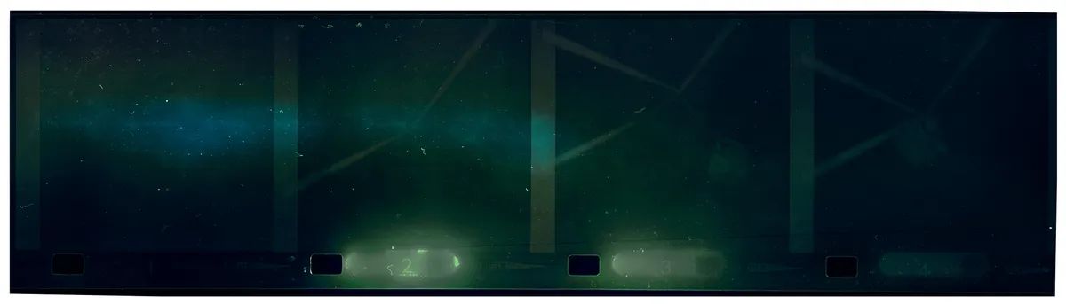  Зображення, отримані з пастки підводної камери, кілька знімків, витягнутих із пастки.