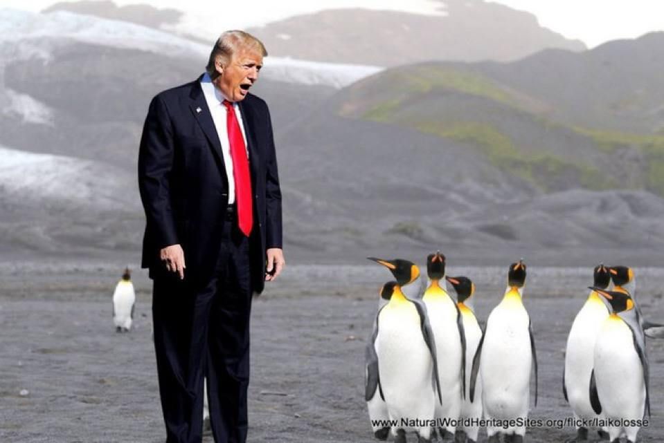 Трамп, ну за что? Трамп, ну за что?