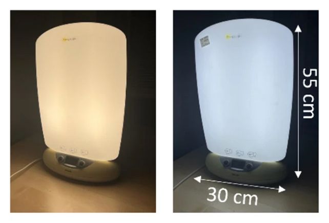 Белый свет днем лучше стимулирует сон ночью, чем желтый. Белый свет днем лучше стимулирует сон ночью, чем желтый.