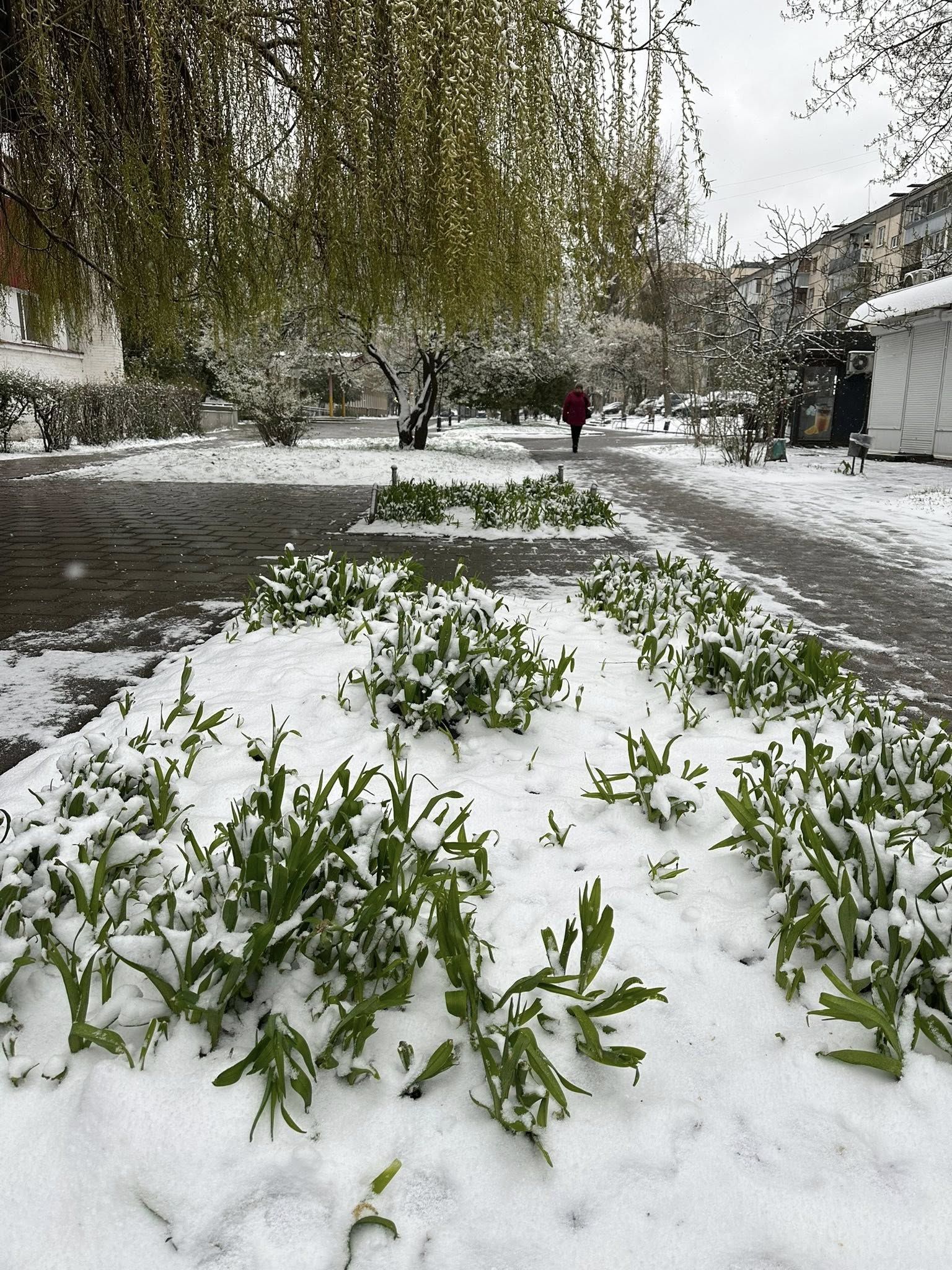 Сніг у квітні. Фото - Фейсбук: Андрій Болкун