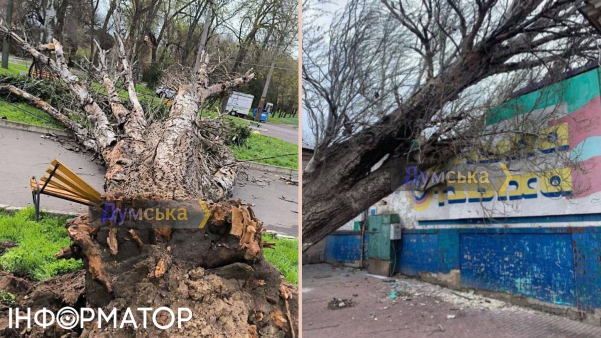 В Одесі через сніг та хуртовину обмежене міжміське сполучення 1