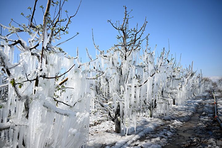 Фото - Yeni Safak