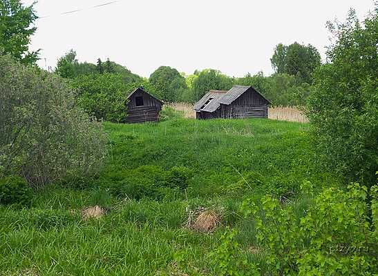Шуя - люди понад річкою живуть у ізбушках Шуя - люди понад річкою живуть у ізбушках