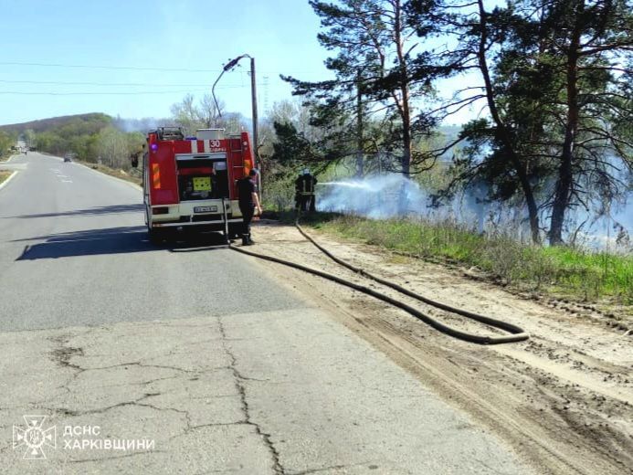 Неба не видно: у Харківській області понад добу вирує масштабна лісова пожежа 1