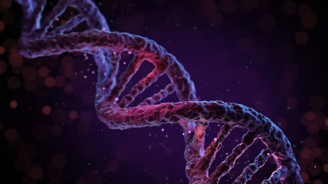 ДНК – биологическая основа всего живого вокруг нас!