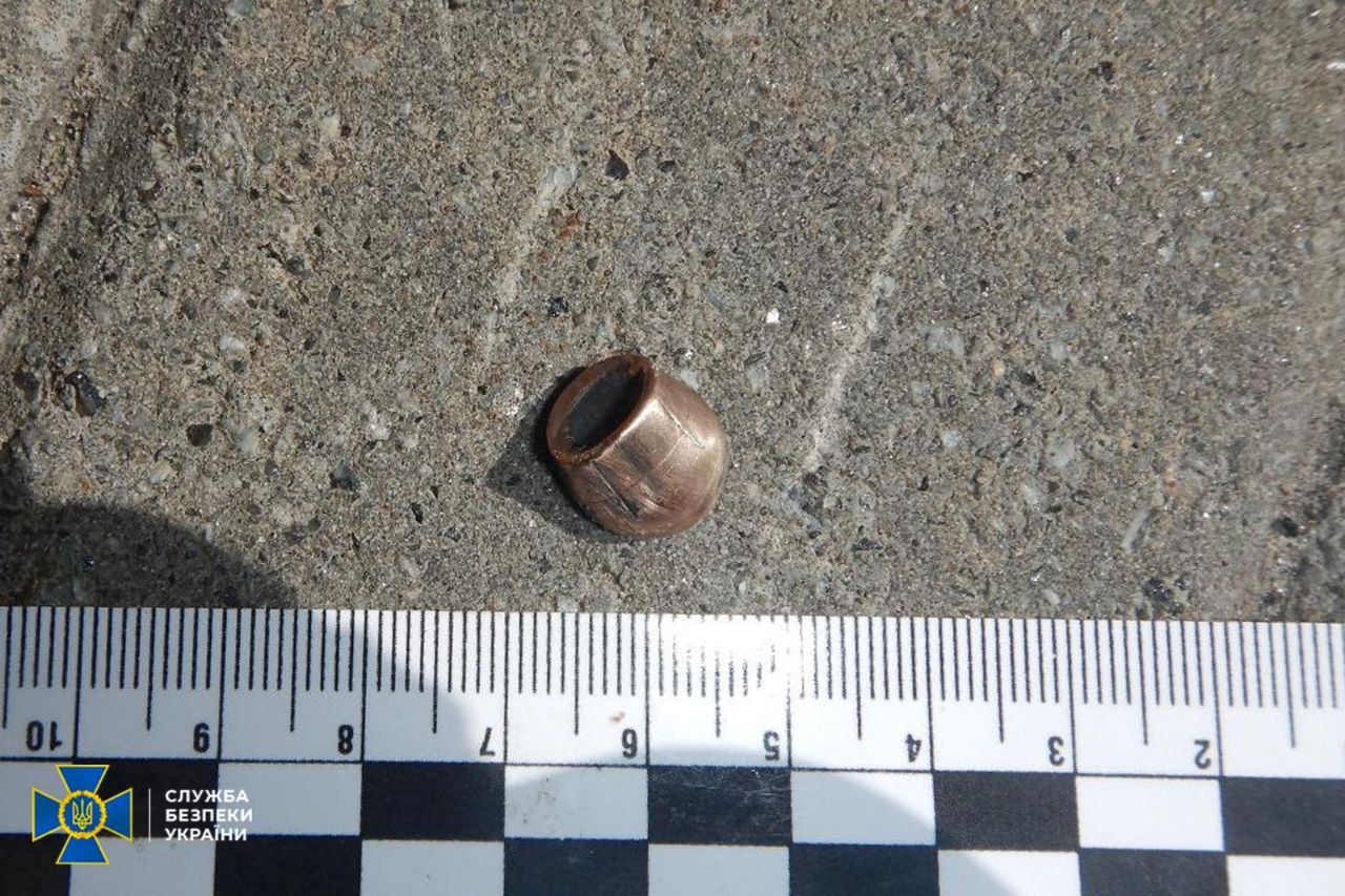 Покушение на Стерненко: стали известны новые подробности о нападающей