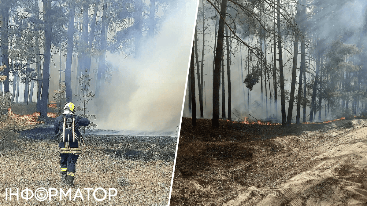Пожежі на Харківщині