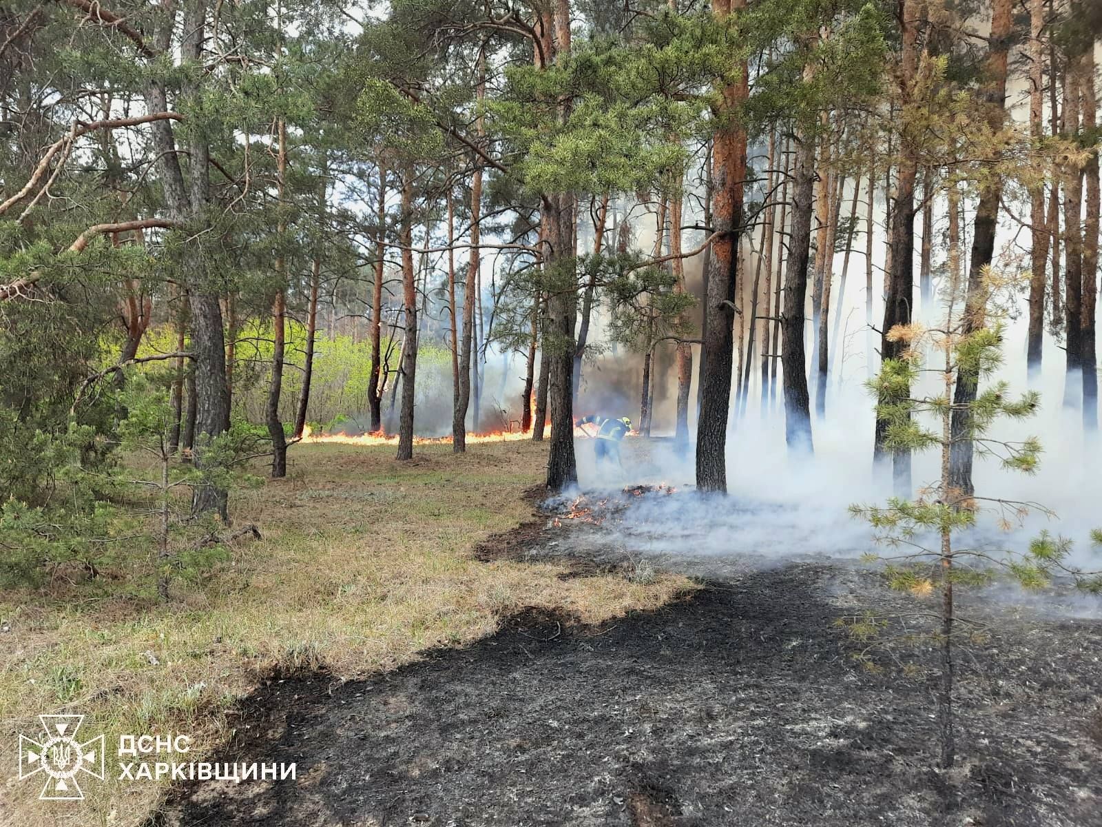 Харьковщину охватил пожар: готовится эвакуация, детонируют боеприпасы 1