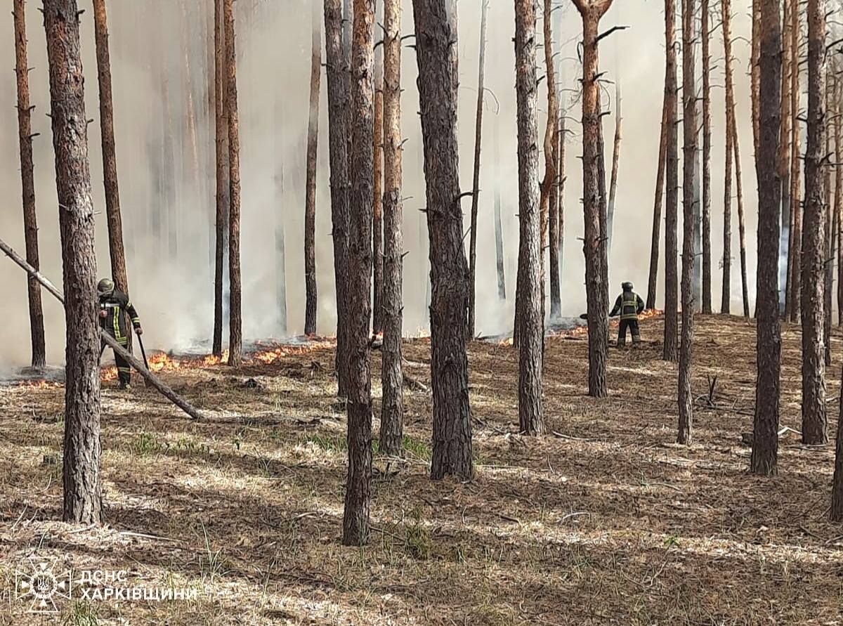 Харківщину охопила пожежа: готується евакуація, детонують боєприпаси 3