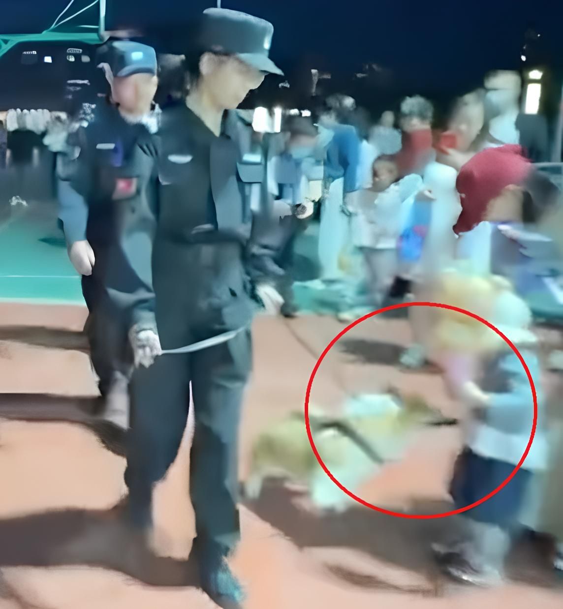 Коргі вихопила у дитини ковбаску і надгризла її. Скриншот з відео. 