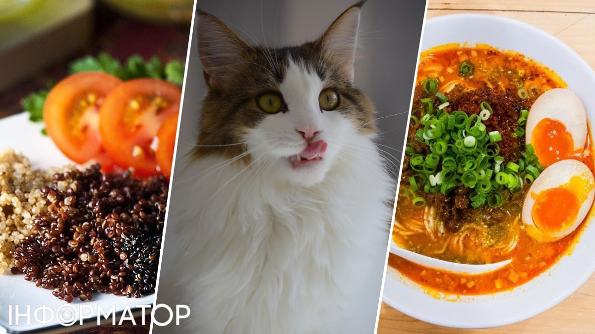 М’ясо, білок, бобові, продукти, їжа, риба, харчування, дієта, корисні поради, здоров'я