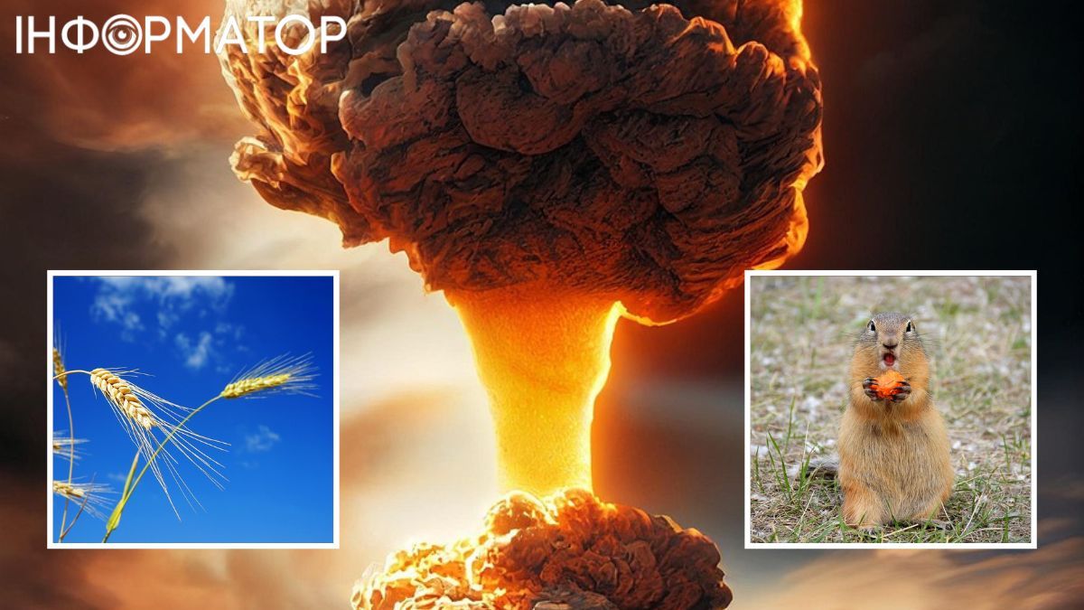 Запамятайте ці овочі та культури: шпинат, буряк, морква та пшениця, вони можуть врятувти життя!