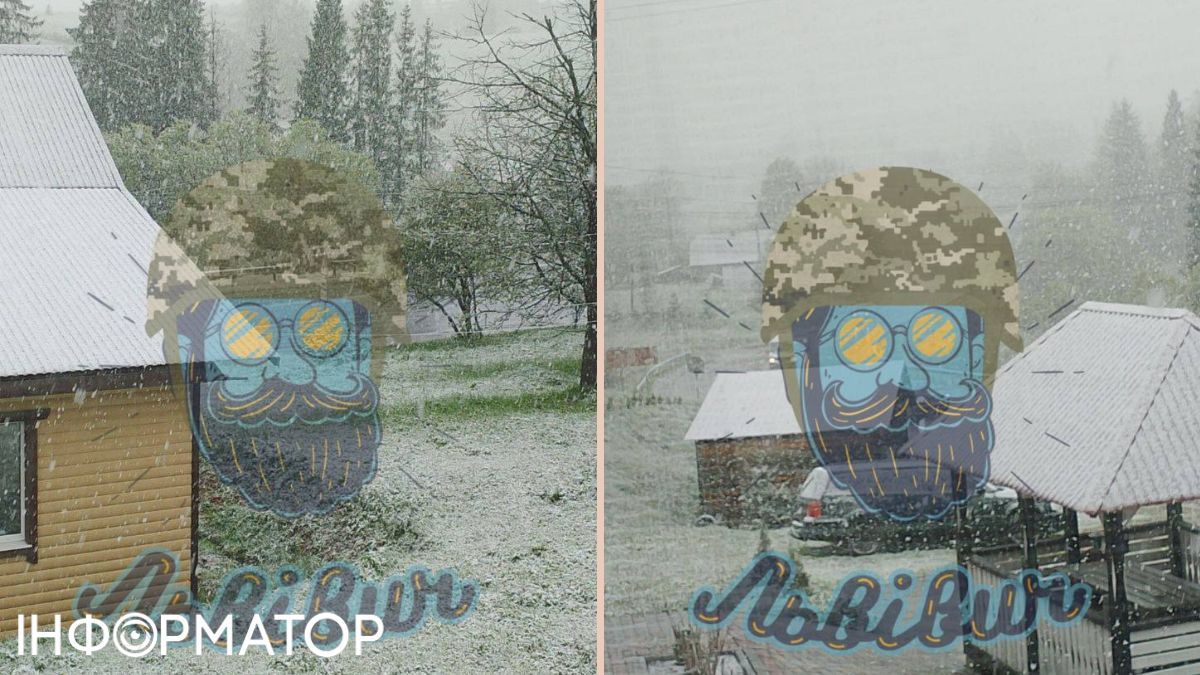 На Львівщині знову випав сніг: зима не відступає навіть наприкінці весни 1