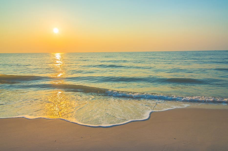 Мировые океаны – наши легкие, они регулируют климат и обеспечивают миллионы людей рабочими местами.