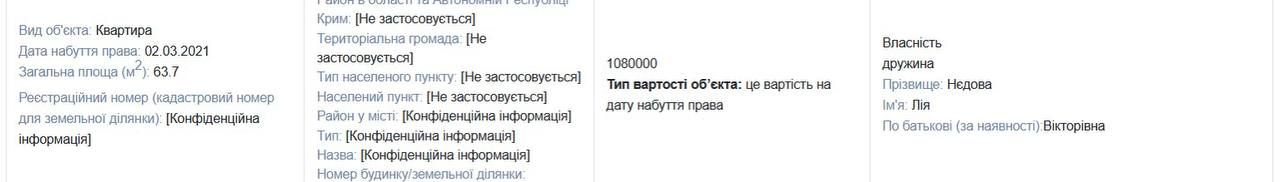 Елітна нерухомість, відпустки на лакшері-курортах, вивід мільйонів за кордон: як живуть «прості» детективи набу, поки україна воює 4