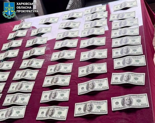 У Харкові затримали директорку благодійного фонду за "липові" діагнози ухилянтам 1