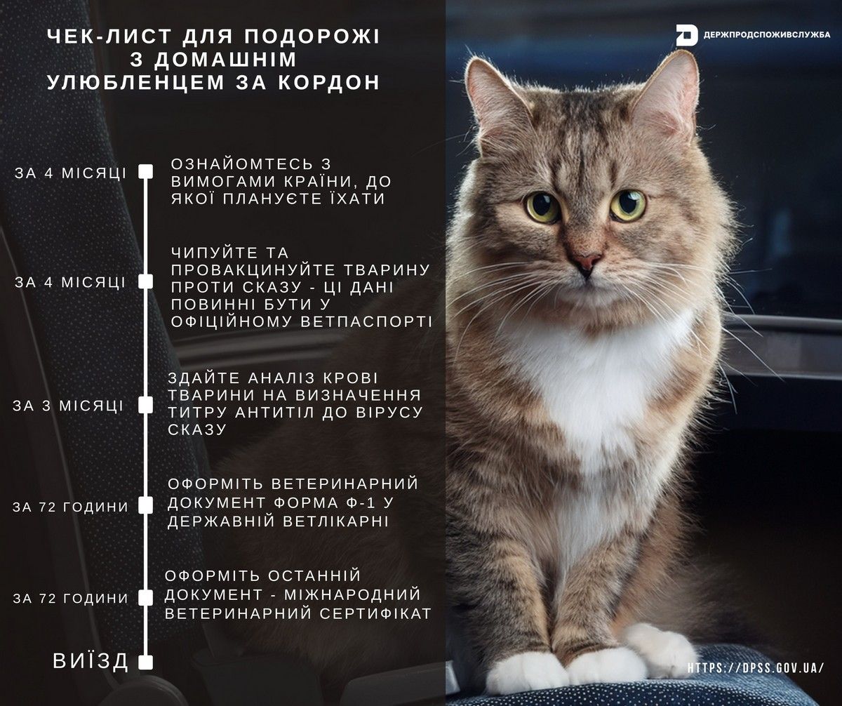 Чек-лист для путешествия с домашним любимцем за границу Чек-лист для путешествия с домашним любимцем за границу