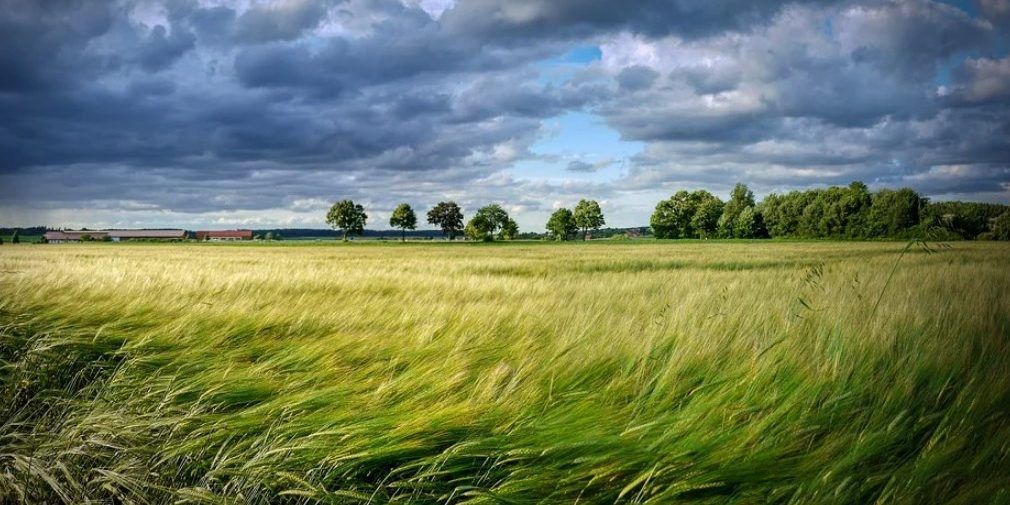 Це важливе екологічне свято, які відзначають у всьому світі Це важливе екологічне свято, які відзначають у всьому світі