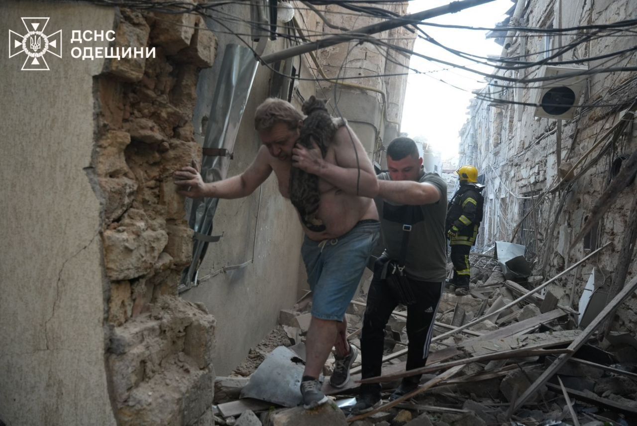 Человек спасает котика после атаки