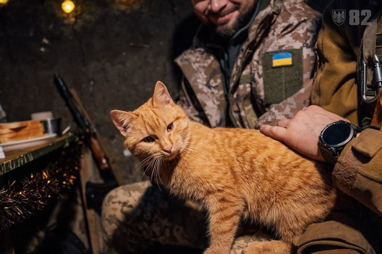 Генштаб ЗСУ показав військових котиків: це так мило! 3