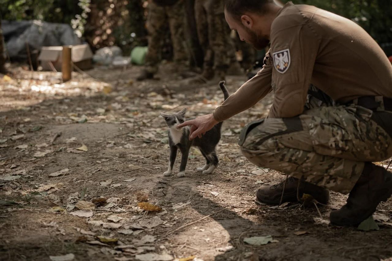Генштаб ЗСУ показав військових котиків: це так мило! 1