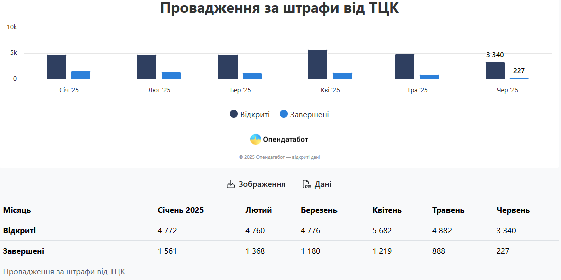 Провадження за штрафи ТЦК. Скриншот: Опендатабот