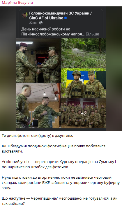 Безуглая высмеяла отчет Сырского об обороне Сумщины: джунгли, проволока и фотосессии - вместо реальной защиты.