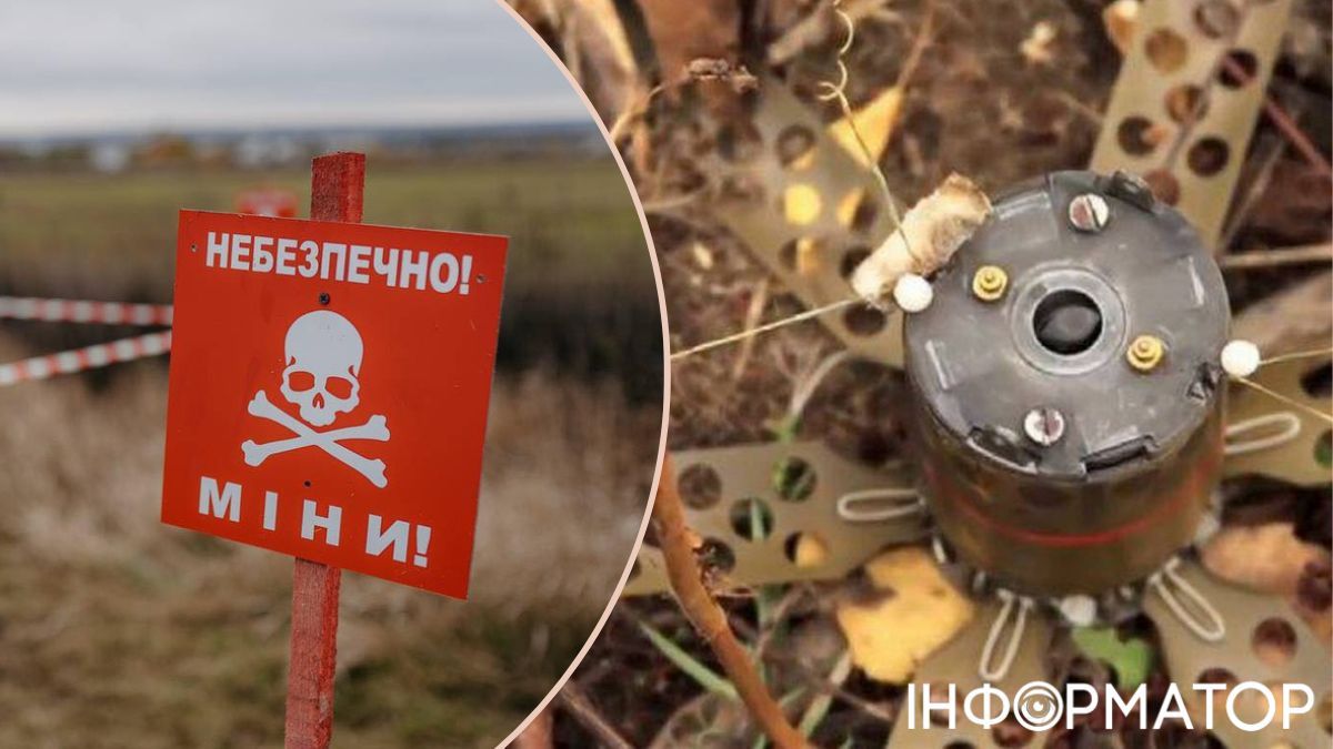 Украина выходит из Оттавской конвенции о запрете противопехотных мин