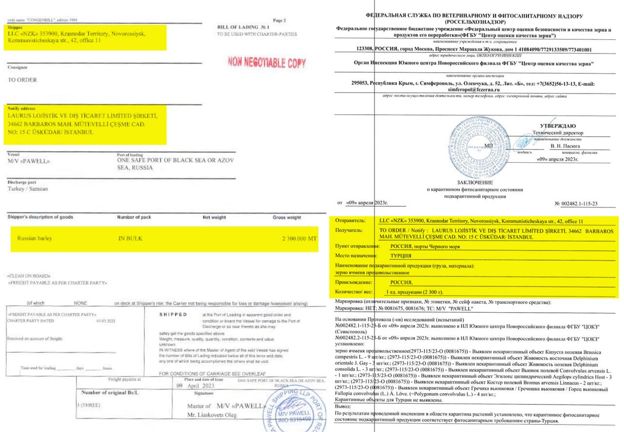 Організатором схеми вивозу вкраденого в Україні зерна та титану виявився Медведчук: розслідування 5