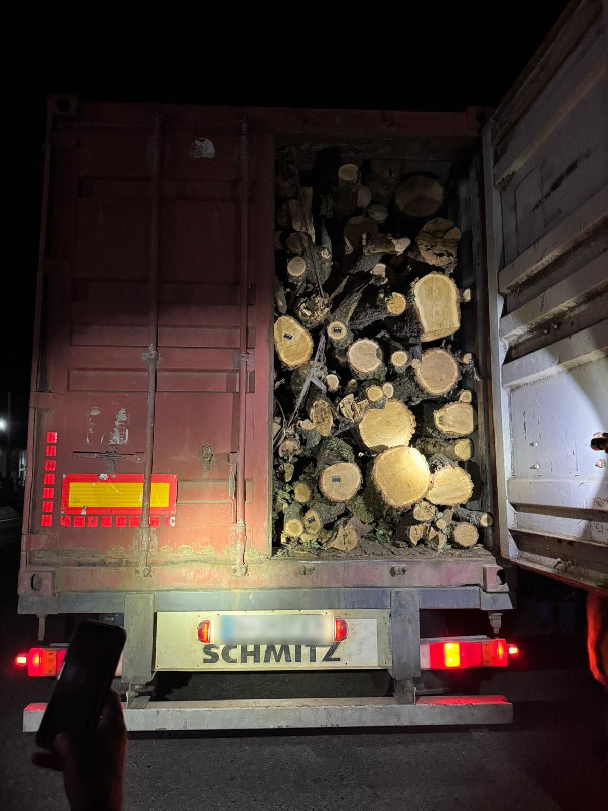 Притворились дровами: Одесские пограничники в фуре с лесом нашли груз уклоняющихся от мобилизации 2