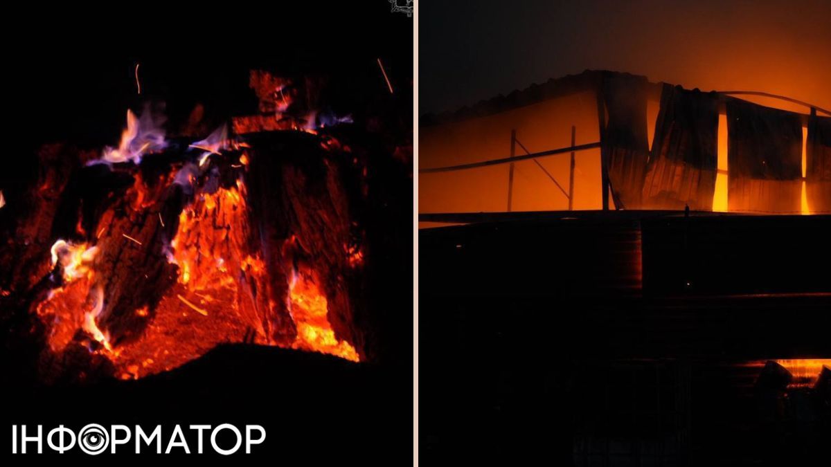 Россия атаковала дронами Запорожье и область: вспыхнули пожары, есть 1